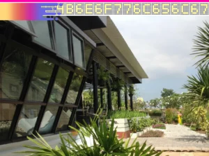 7G Coffee Shop p00