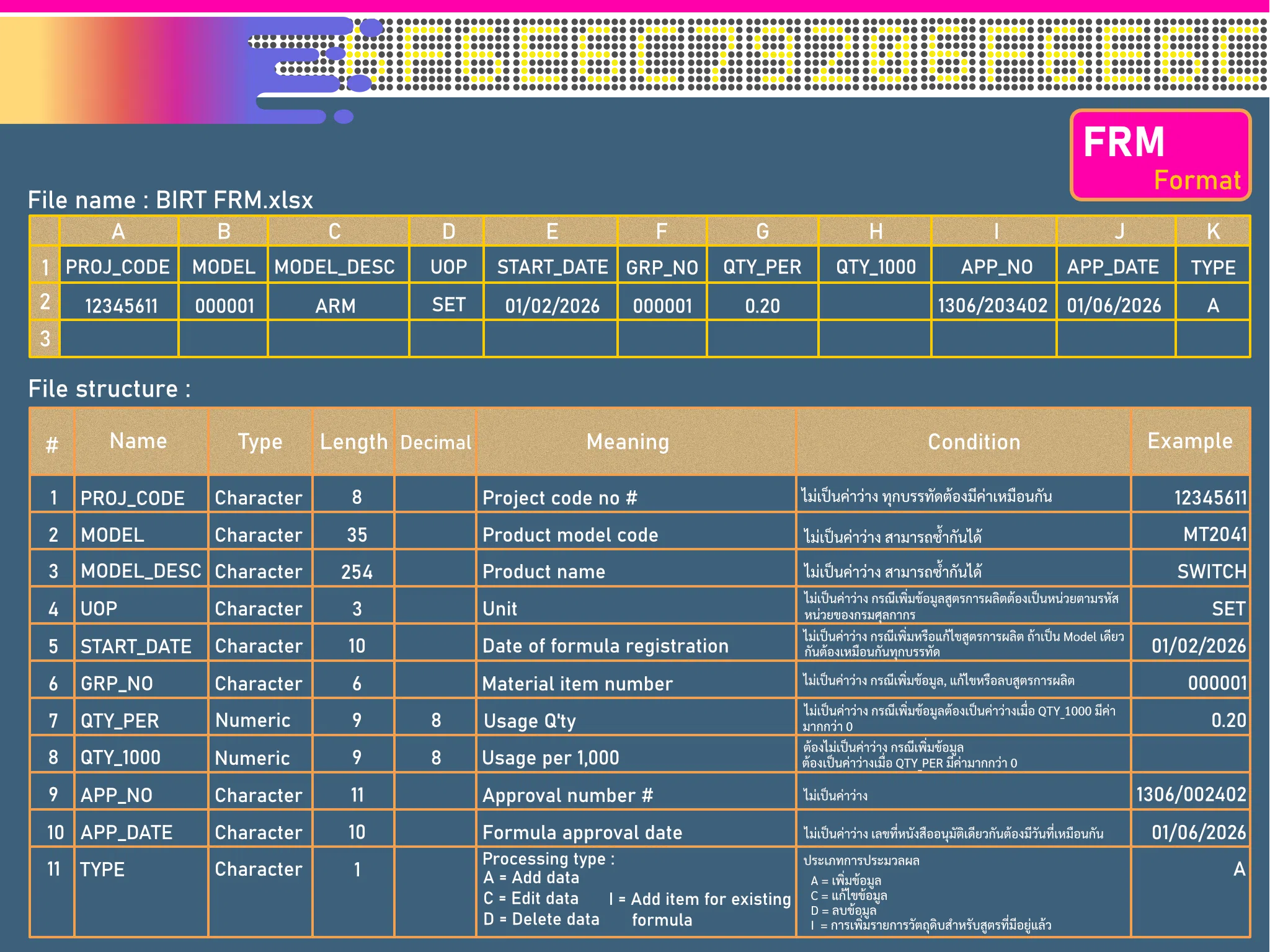 BIRT FRM Format